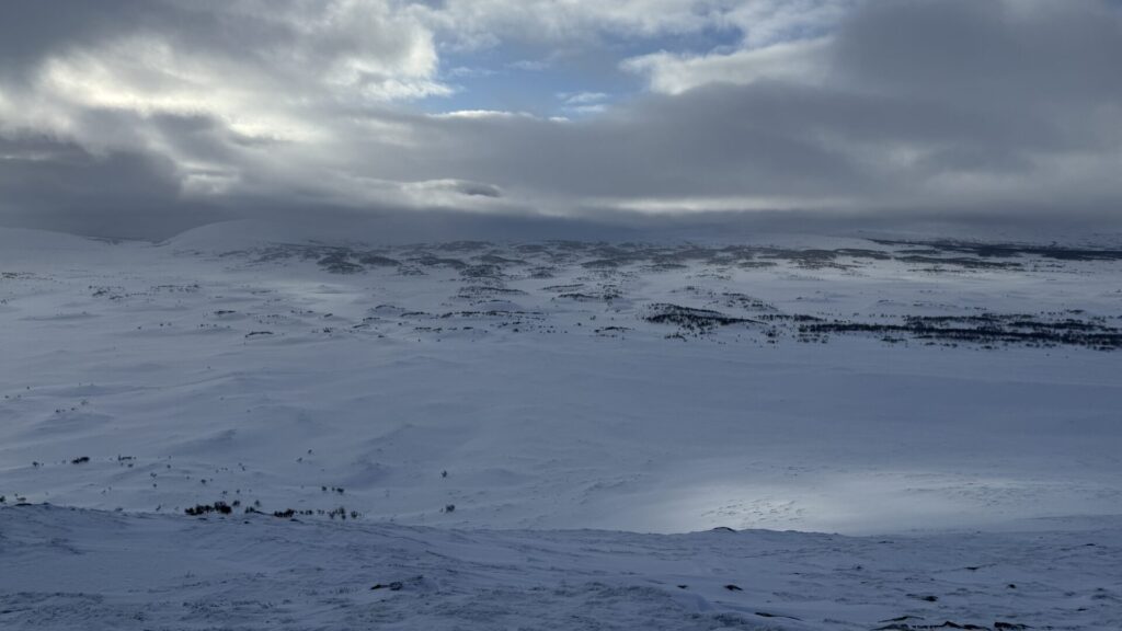 Härjedalen Landscape